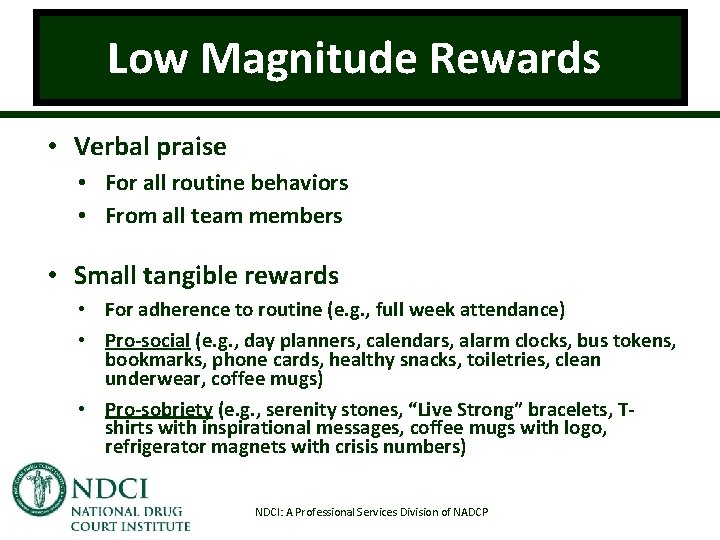 Low Magnitude Rewards • Verbal praise • For all routine behaviors • From all