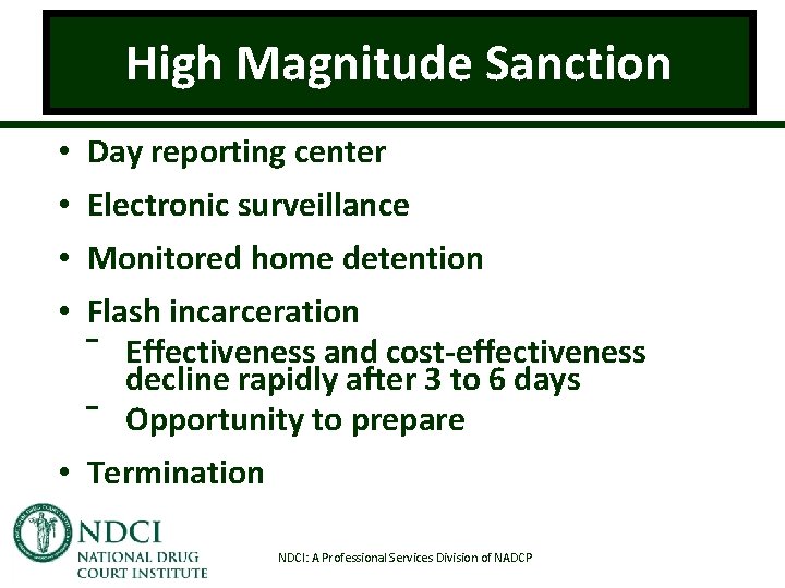 High Magnitude Sanction • Day reporting center • Electronic surveillance • Monitored home detention