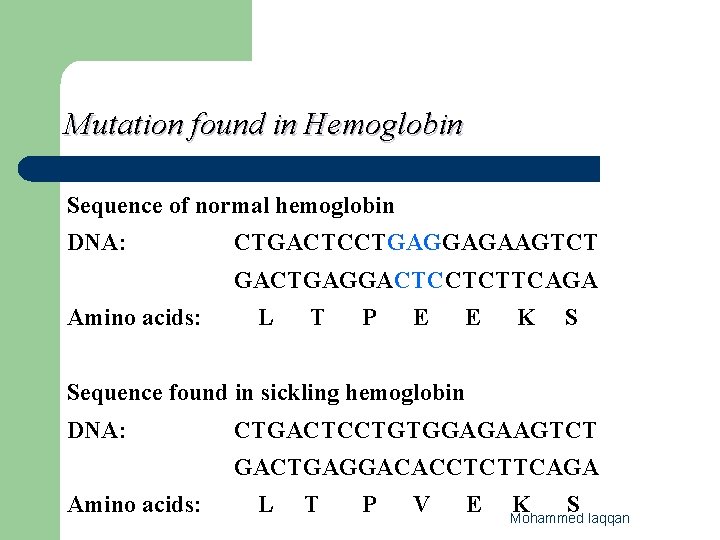 Mutation found in Hemoglobin Sequence of normal hemoglobin DNA: CTGACTCCTGAGGAGAAGTCT GACTGAGGACTCCTCTTCAGA Amino acids: L