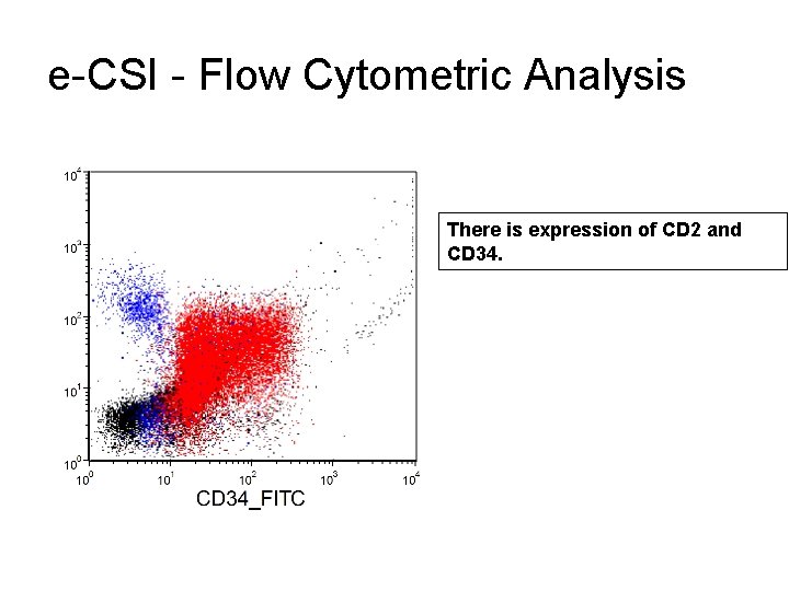 e-CSI - Flow Cytometric Analysis There is expression of CD 2 and CD 34.