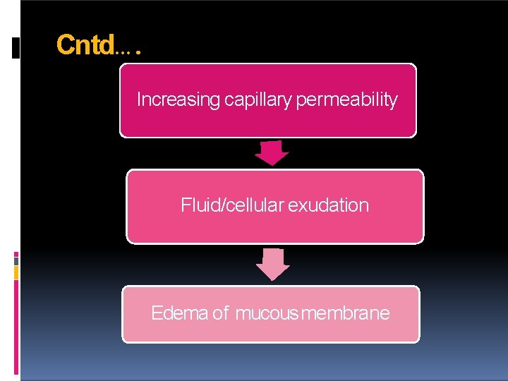 Cntd…. Increasing capillary permeability Fluid/cellular exudation Edema of mucous membrane 