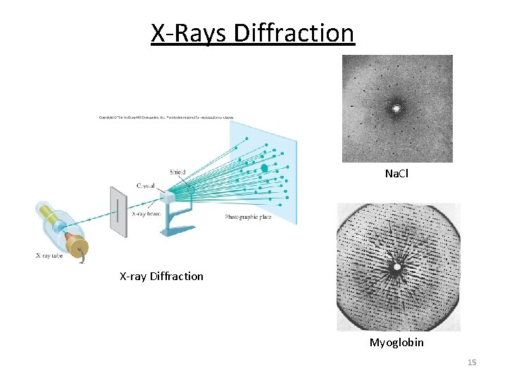 X-Rays Diffraction Na. Cl X-ray Diffraction Myoglobin 15 X-Rays Diffraction Na. Cl X-ray Diffraction Myoglobin 15