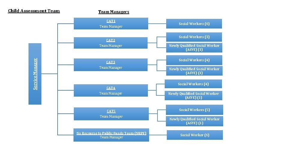 Child Assessment Team Managers CAT 1 Team Manager Service Manager CAT 2 Team Manager