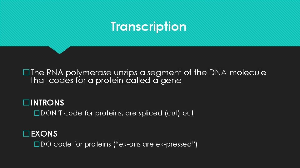 Transcription �The RNA polymerase unzips a segment of the DNA molecule that codes for