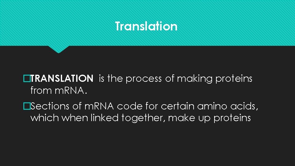 Translation �TRANSLATION is the process of making proteins from m. RNA. �Sections of m.