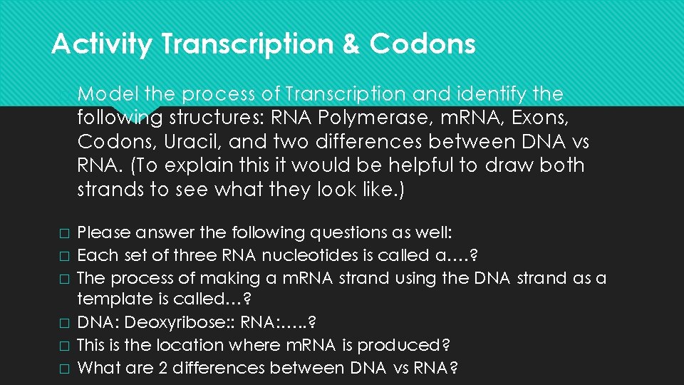 Activity Transcription & Codons � � � � Model the process of Transcription and