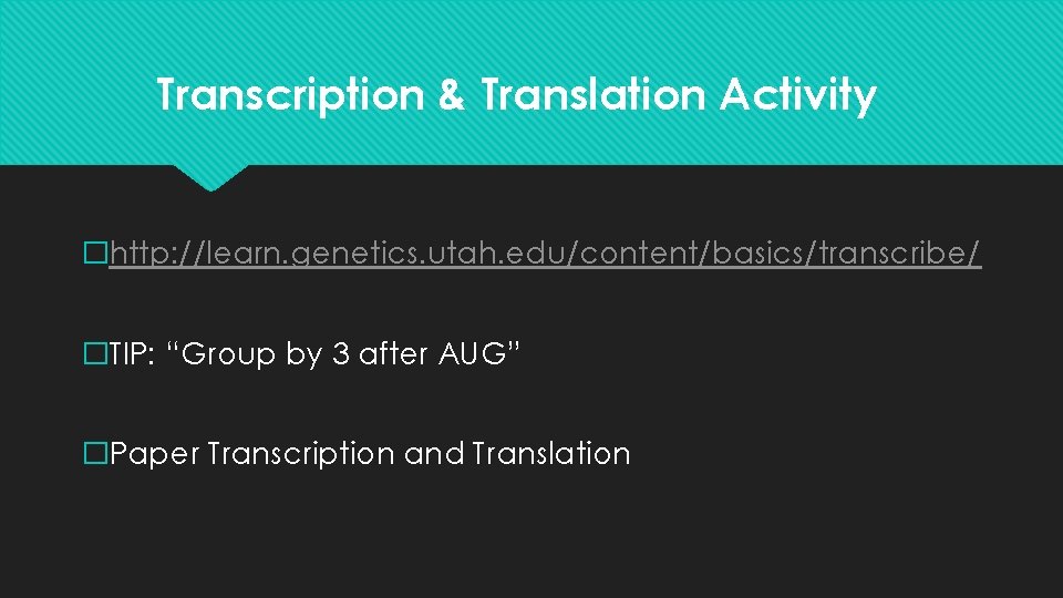 Transcription & Translation Activity �http: //learn. genetics. utah. edu/content/basics/transcribe/ �TIP: “Group by 3 after