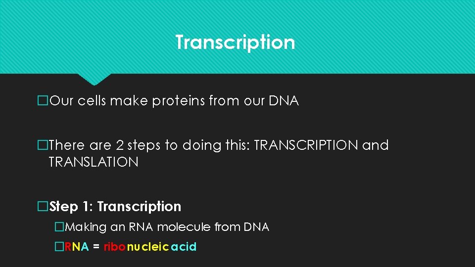 Transcription �Our cells make proteins from our DNA �There are 2 steps to doing