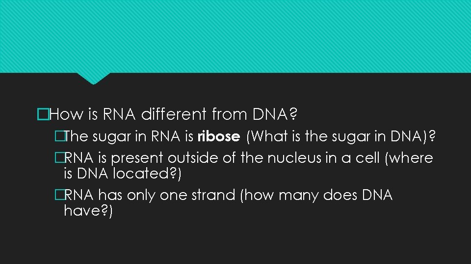 �How is RNA different from DNA? �The sugar in RNA is ribose (What is