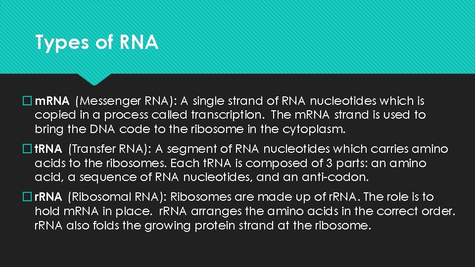 Types of RNA � m. RNA (Messenger RNA): A single strand of RNA nucleotides
