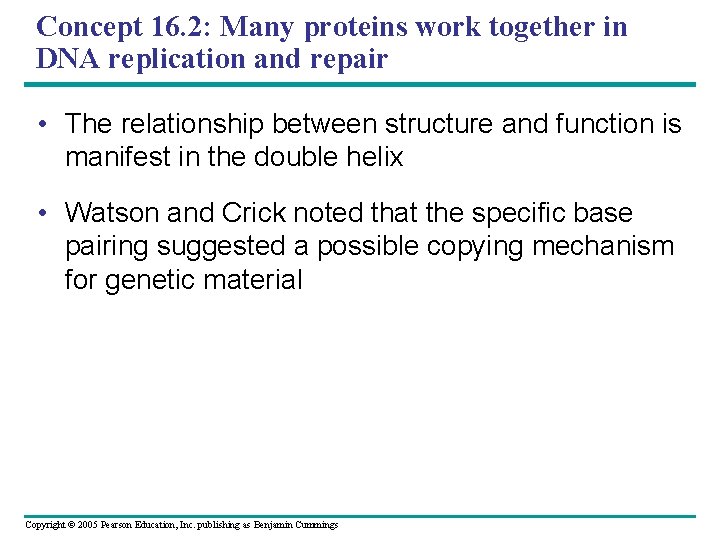 Concept 16. 2: Many proteins work together in DNA replication and repair • The