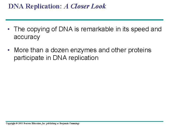 DNA Replication: A Closer Look • The copying of DNA is remarkable in its