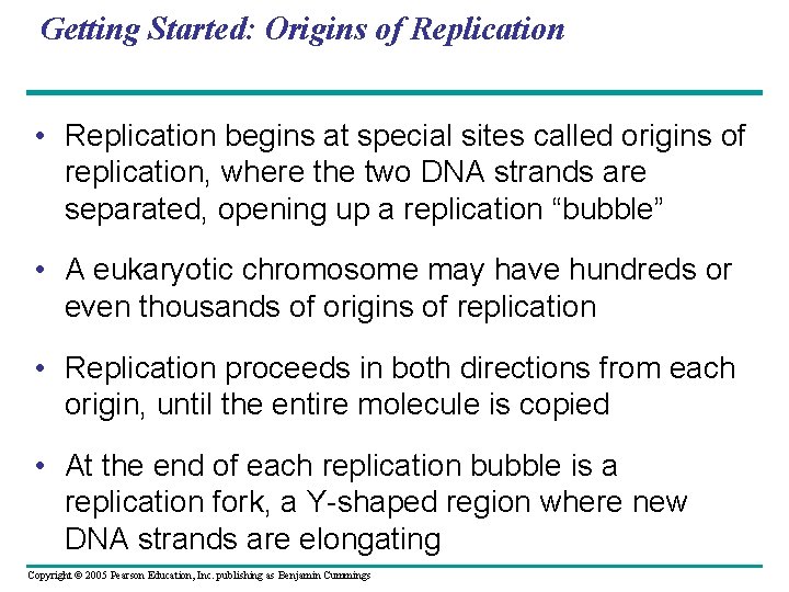 Getting Started: Origins of Replication • Replication begins at special sites called origins of