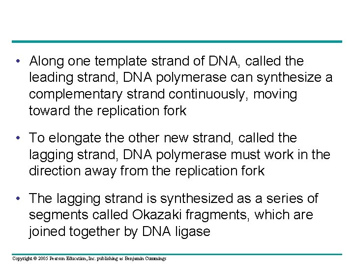  • Along one template strand of DNA, called the leading strand, DNA polymerase