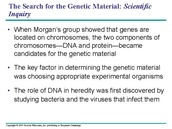 The Search for the Genetic Material: Scientific Inquiry • When Morgan’s group showed that