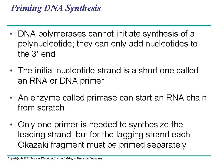 Priming DNA Synthesis • DNA polymerases cannot initiate synthesis of a polynucleotide; they can