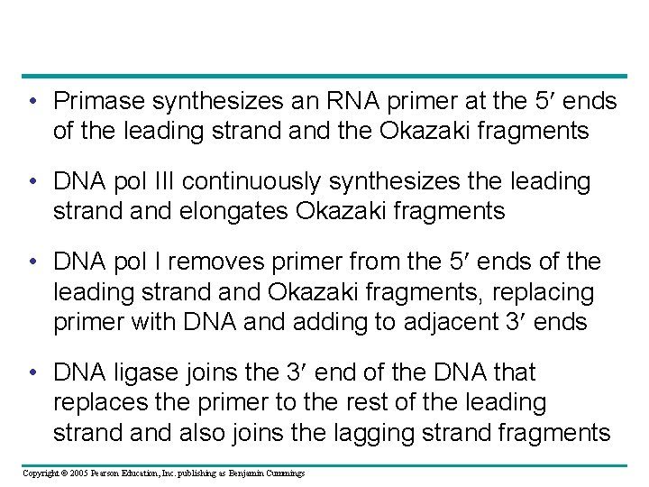  • Primase synthesizes an RNA primer at the 5 ends of the leading