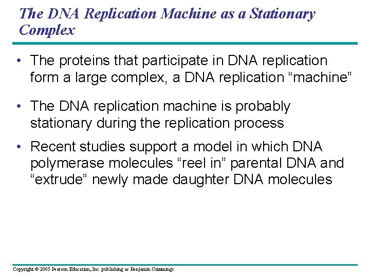 The DNA Replication Machine as a Stationary Complex • The proteins that participate in