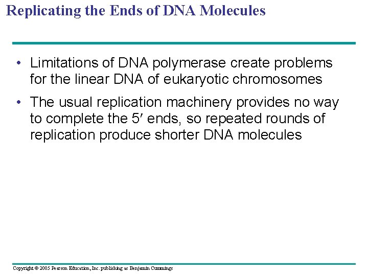 Replicating the Ends of DNA Molecules • Limitations of DNA polymerase create problems for