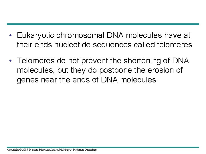  • Eukaryotic chromosomal DNA molecules have at their ends nucleotide sequences called telomeres