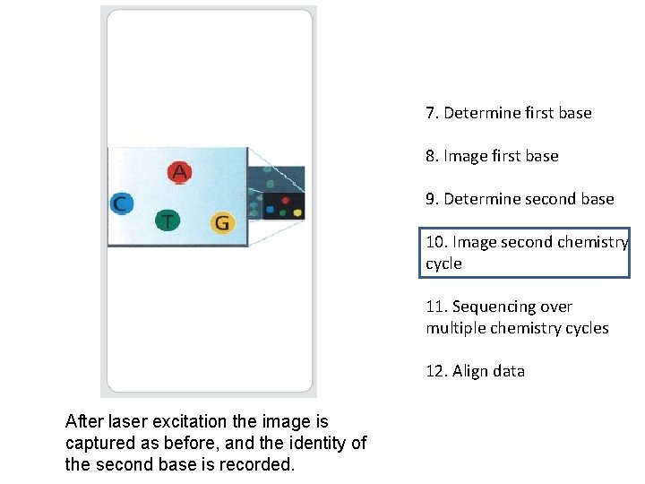 7. Determine first base 8. Image first base 9. Determine second base 10. Image