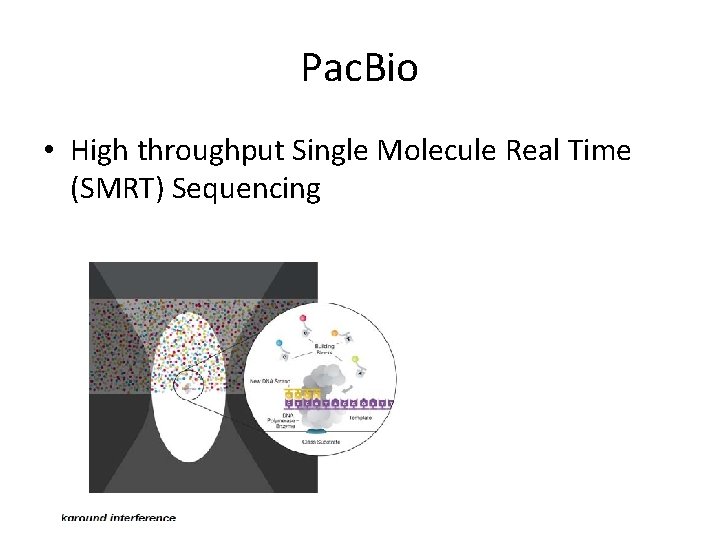 Pac. Bio • High throughput Single Molecule Real Time (SMRT) Sequencing 