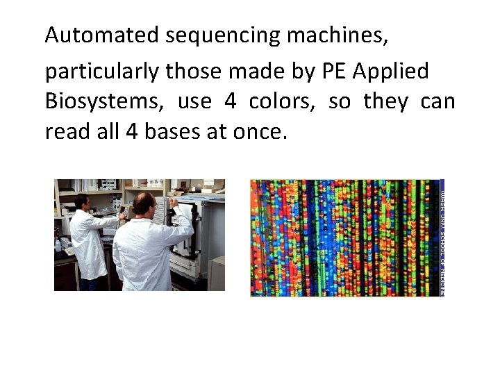 Automated sequencing machines, particularly those made by PE Applied Biosystems, use 4 colors, so