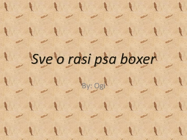 Sve o rasi psa boxer By: Ogi 