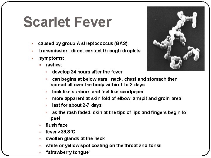 Scarlet Fever • caused by group A streptococcus (GAS) • transmission: direct contact through