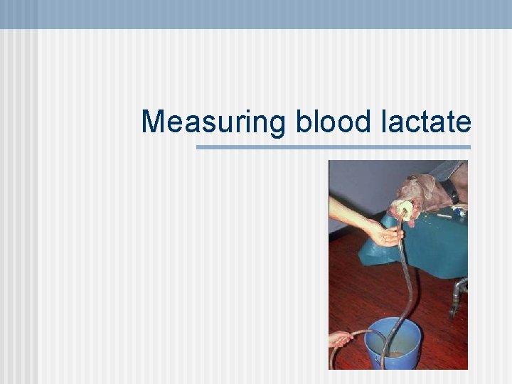 Measuring blood lactate 