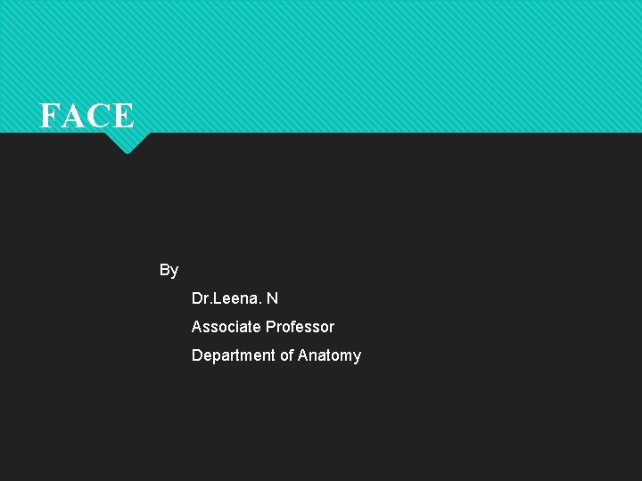FACE By Dr. Leena. N Associate Professor Department of Anatomy 