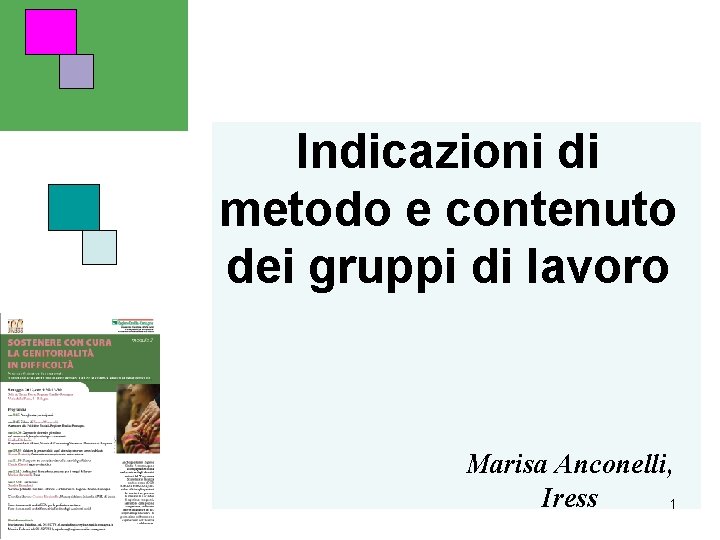 Indicazioni di metodo e contenuto dei gruppi di lavoro Marisa Anconelli, Iress 1 