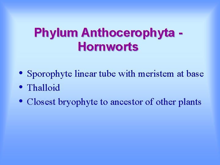 Phylum Anthocerophyta Hornworts • • • Sporophyte linear tube with meristem at base Thalloid