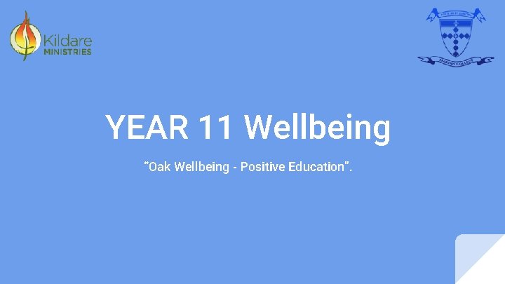 YEAR 11 Wellbeing “Oak Wellbeing - Positive Education”. 