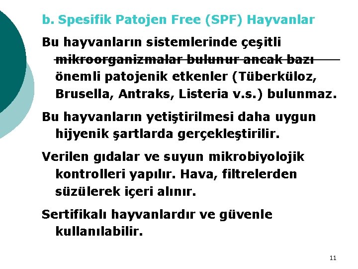 b. Spesifik Patojen Free (SPF) Hayvanlar Bu hayvanların sistemlerinde çeşitli mikroorganizmalar bulunur ancak bazı