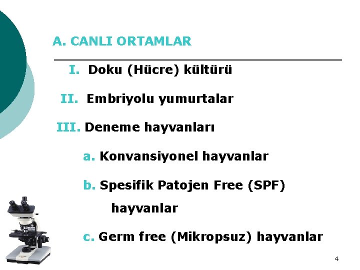 A. CANLI ORTAMLAR I. Doku (Hücre) kültürü II. Embriyolu yumurtalar III. Deneme hayvanları a.