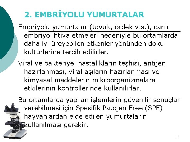 2. EMBRİYOLU YUMURTALAR Embriyolu yumurtalar (tavuk, ördek v. s. ), canlı embriyo ihtiva etmeleri