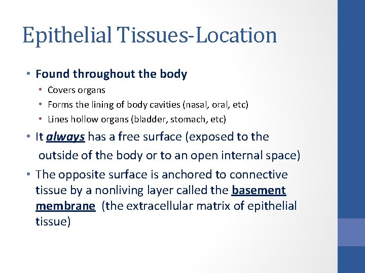 Epithelial Tissues-Location • Found throughout the body • Covers organs • Forms the lining Epithelial Tissues-Location • Found throughout the body • Covers organs • Forms the lining