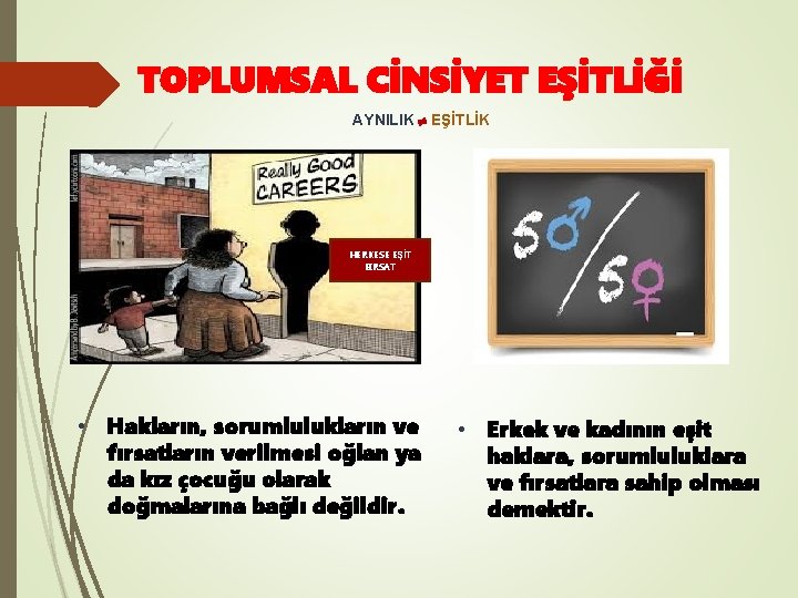 TOPLUMSAL CİNSİYET EŞİTLİĞİ AYNILIK EŞİTLİK HERKESE EŞİT FIRSAT • Hakların, sorumlulukların ve fırsatların verilmesi