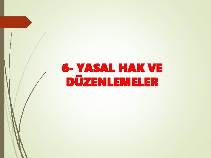 6 - YASAL HAK VE DÜZENLEMELER 