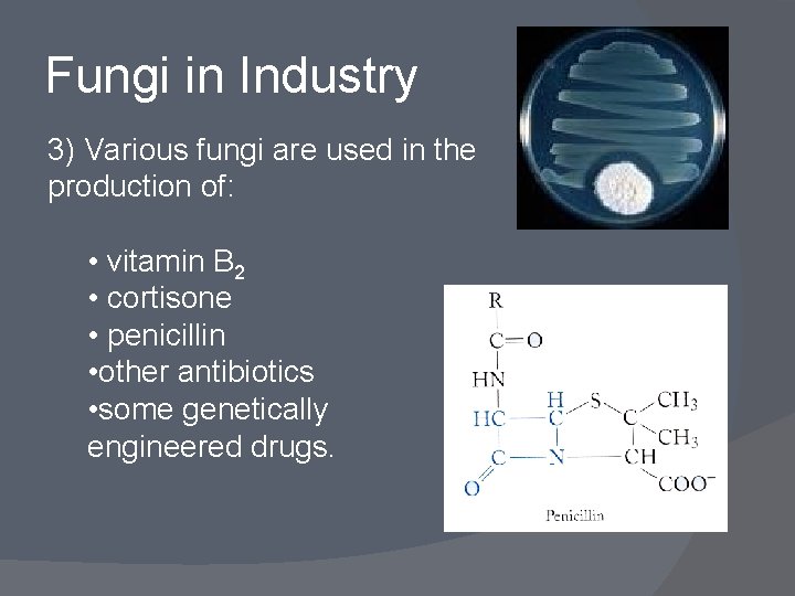 Fungi in Industry 3) Various fungi are used in the production of: • vitamin