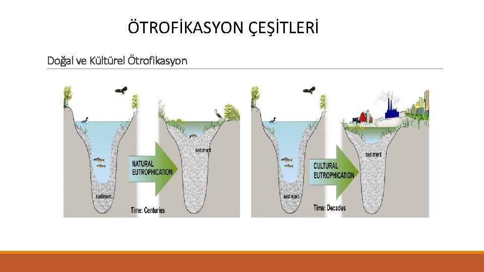 ÖTROFİKASYON ÇEŞİTLERİ Doğal ve Kültürel Ötrofikasyon 