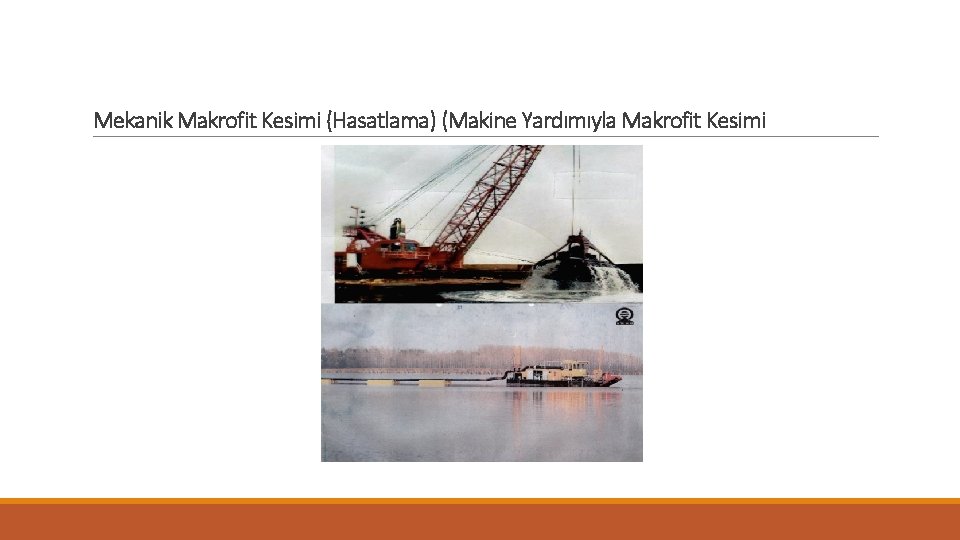 Mekanik Makrofit Kesimi (Hasatlama) (Makine Yardımıyla Makrofit Kesimi 