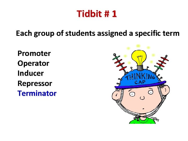 Tidbit # 1 Each group of students assigned a specific term Promoter Operator Inducer
