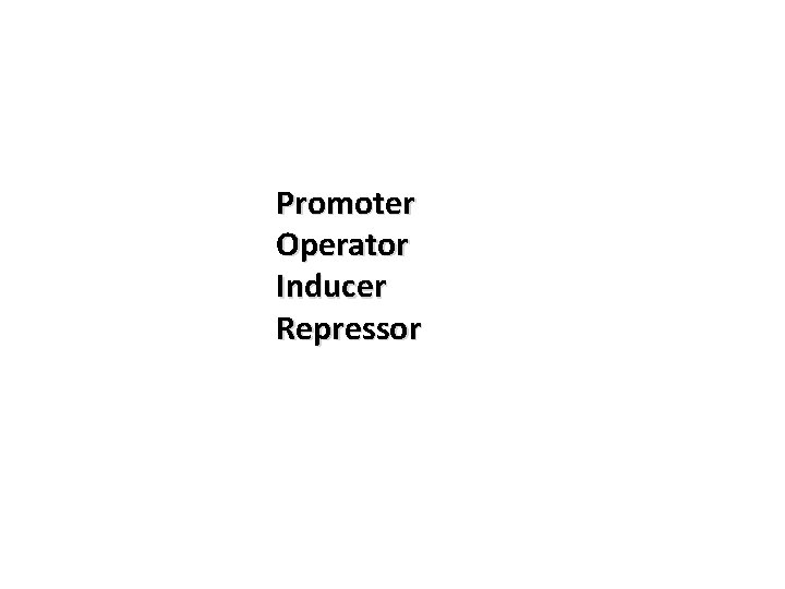 Promoter Operator Inducer Repressor 