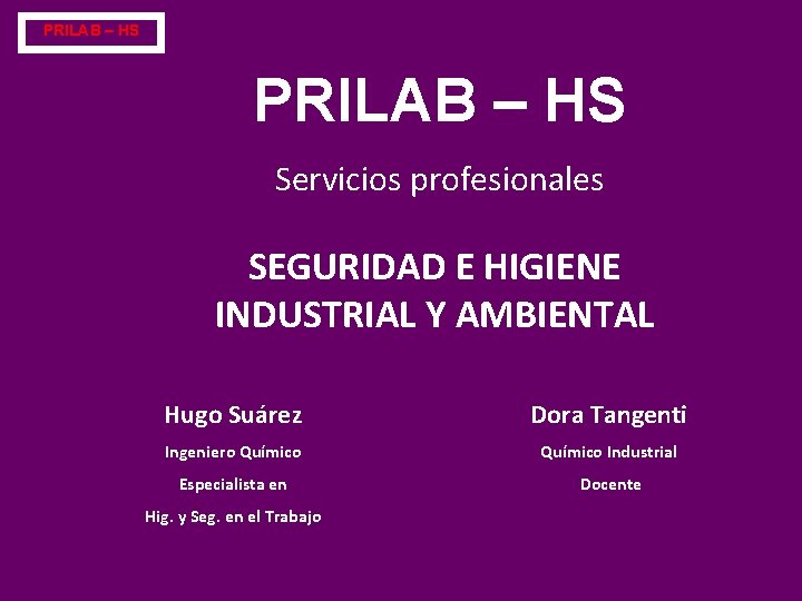 PRILAB – HS Servicios profesionales SEGURIDAD E HIGIENE INDUSTRIAL Y AMBIENTAL Hugo Suárez Dora