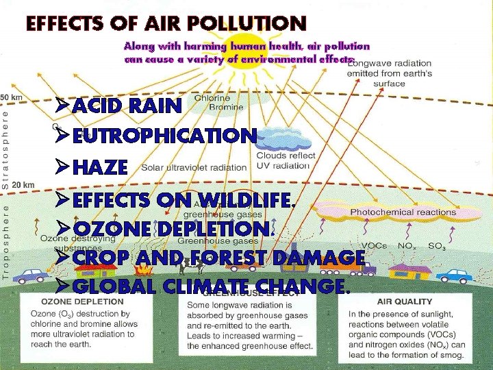 EFFECTS OF AIR POLLUTION Along with harming human health, air pollution cause a variety