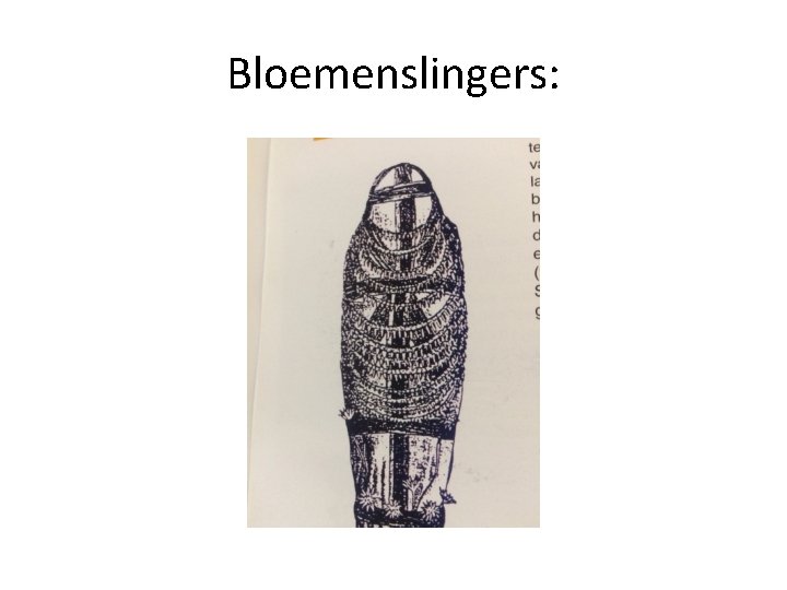 Bloemenslingers: 