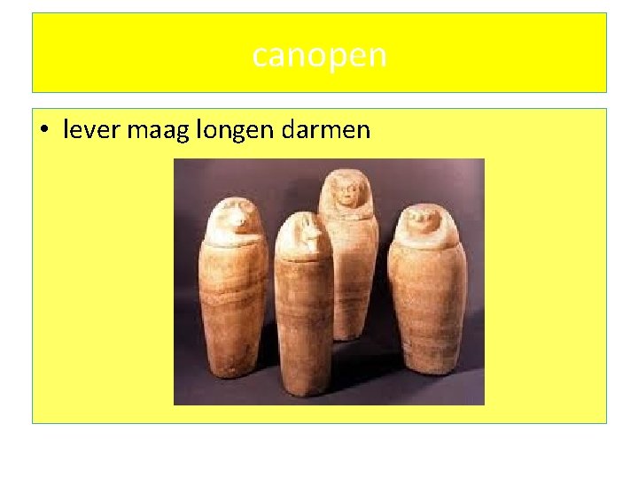 canopen • lever maag longen darmen 