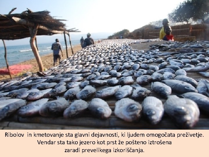 Ribolov in kmetovanje sta glavni dejavnosti, ki ljudem omogočata preživetje. Vendar sta tako jezero